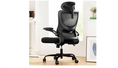 Ergonomic Office Chair
