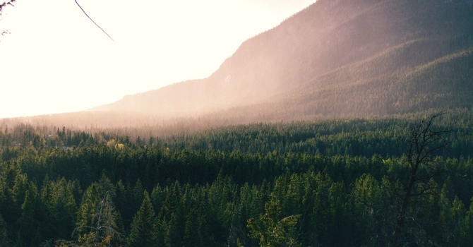 The Unsung Heroes of Peak Performance