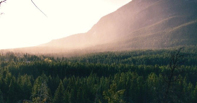 Creating Patient Autonomy in the Doctor-Patient Encounter